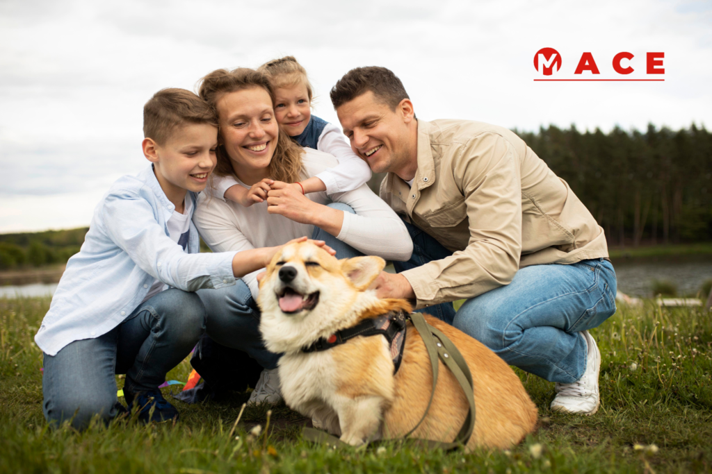 Investir na saúde do seu pet agora é evitar grandes gastos mais tarde. (Imagem: Reprodução/Freepik)